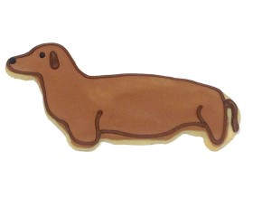 Dachshund