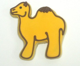 Camel