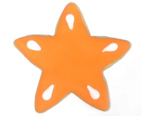 Starfish