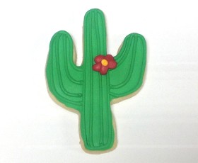 Cactus with Flower